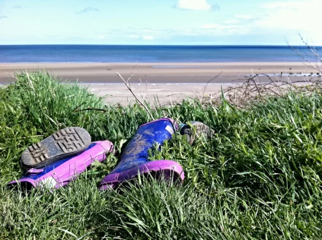 thrown together in ireland.jpg