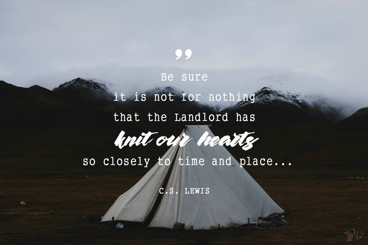 always love a good CS Lewis quote .
