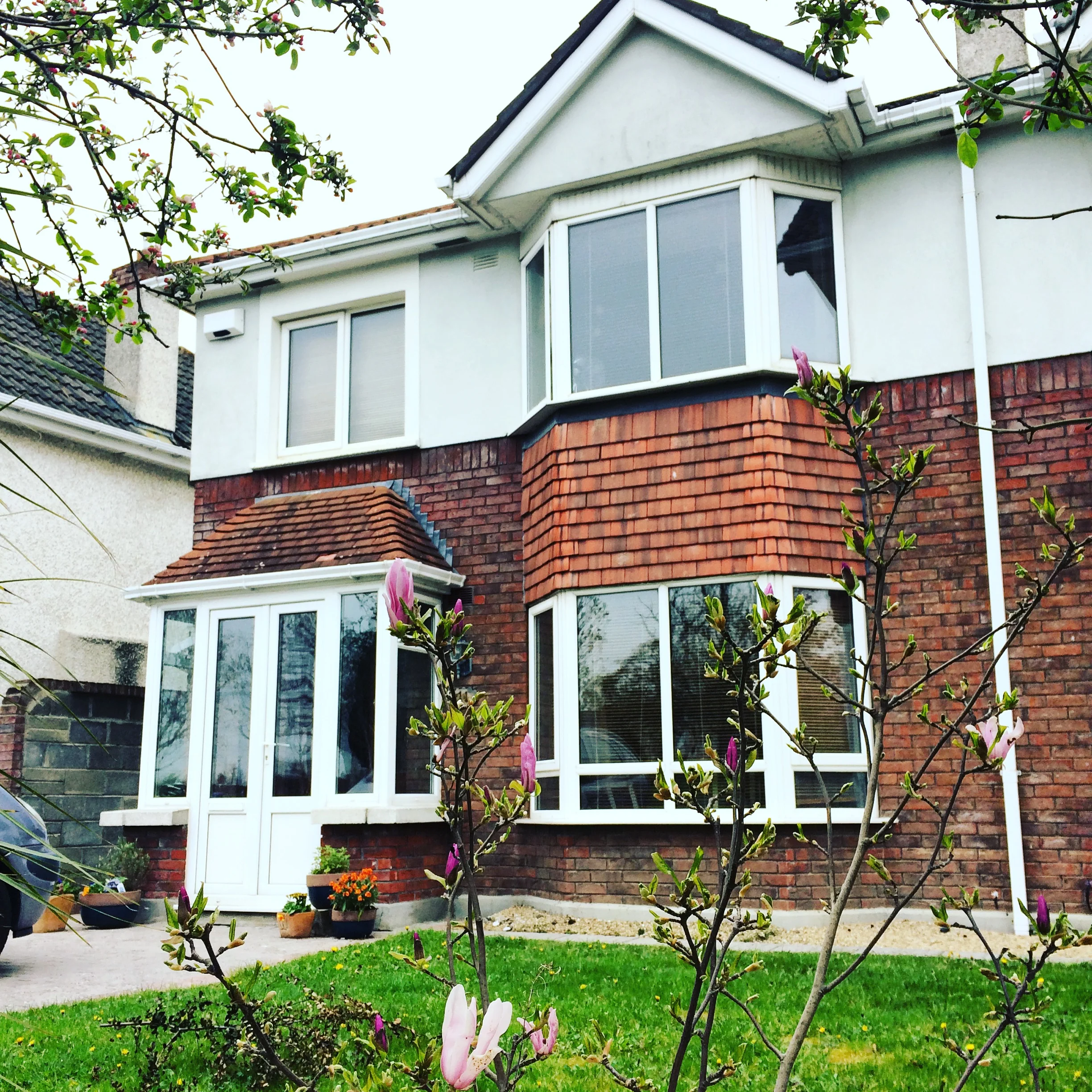  In which I fantasize about buying our house