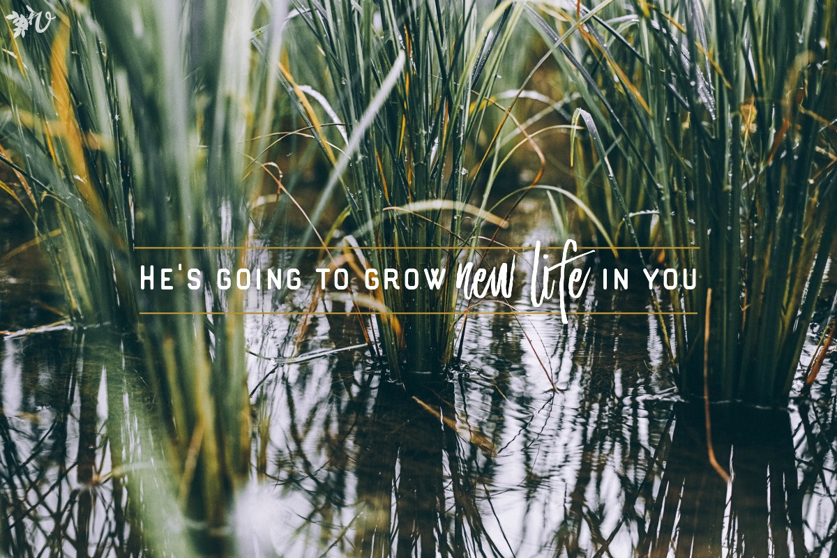 Photo by Peter Hershey on Unsplash