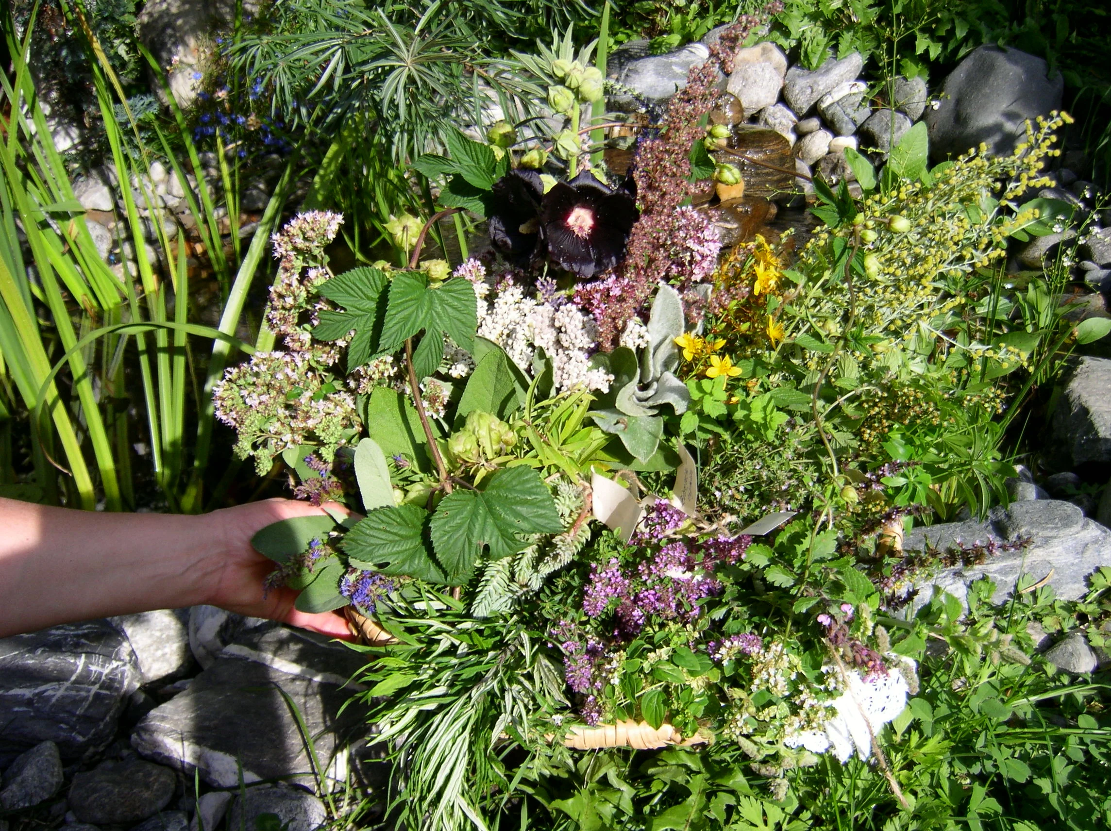 Schaugarten
