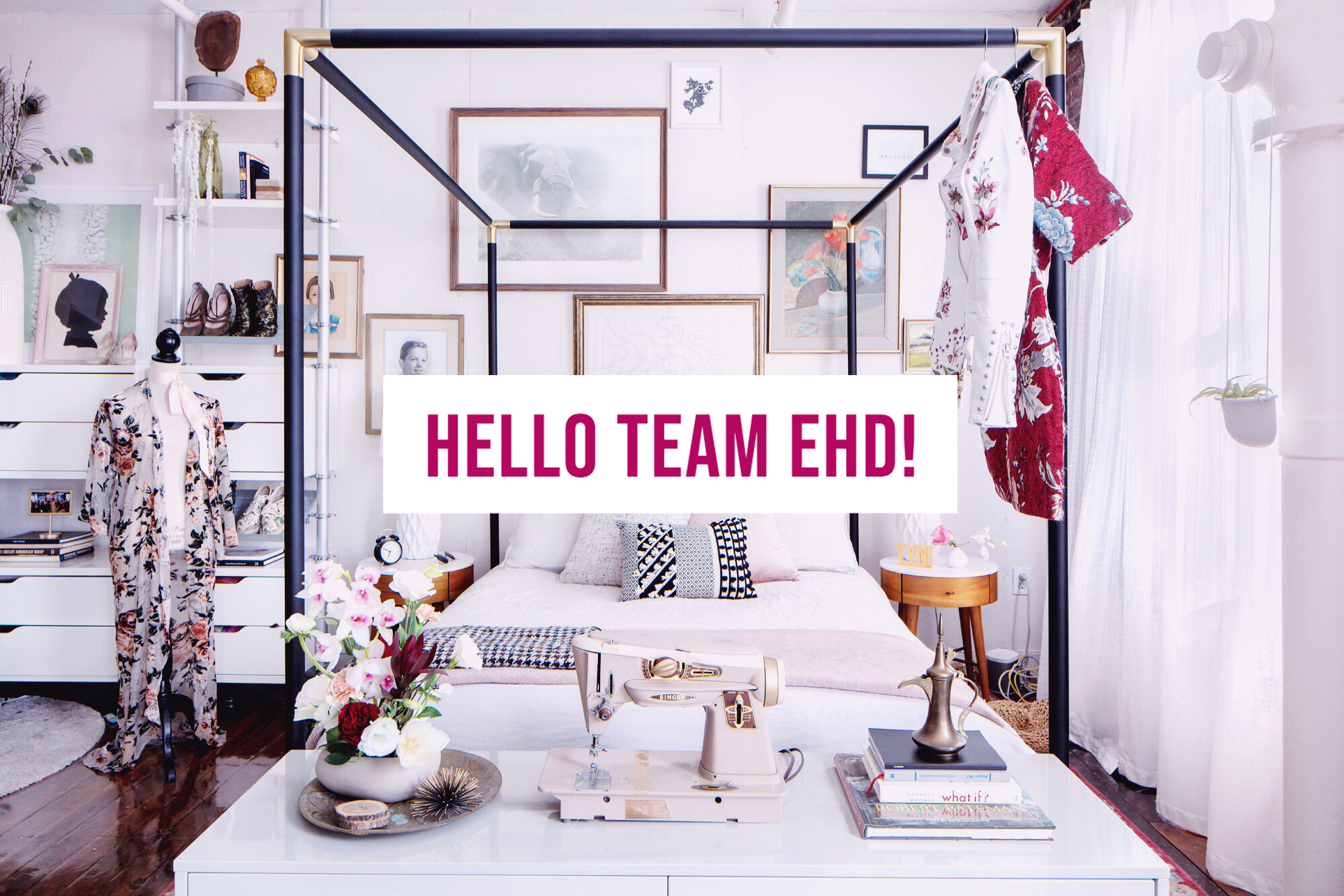 EHD Banner.png