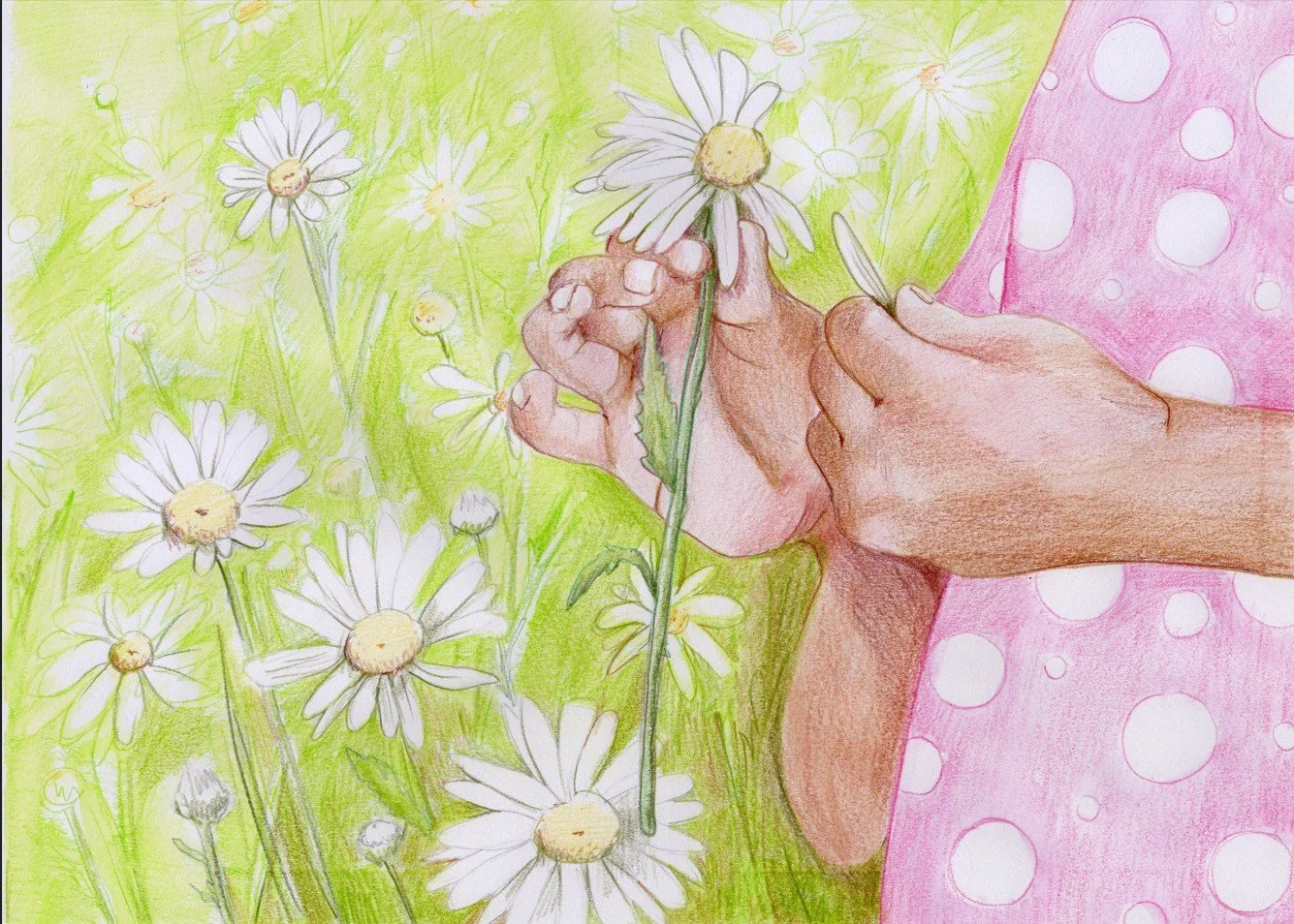 daisyscreenshot.jpg