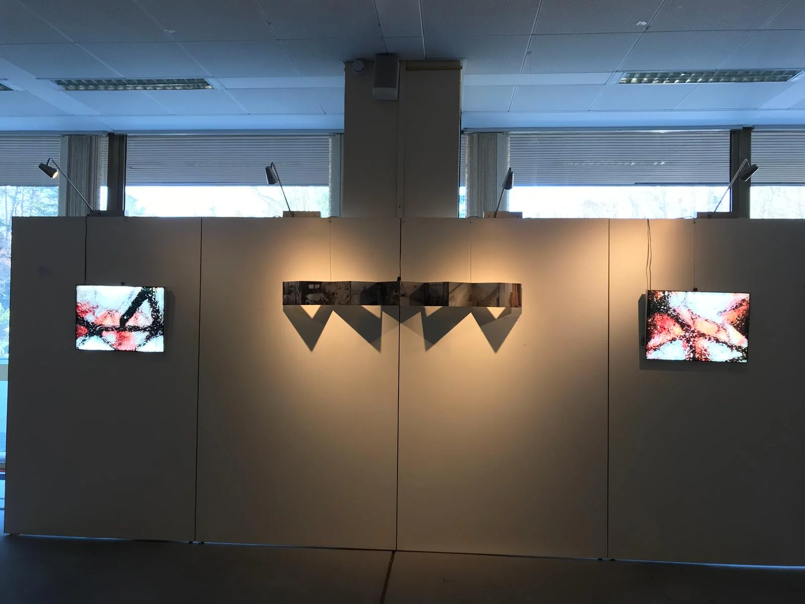 february 2019 --- winner of the public choice "best photographer award" - exhibition at palais des nations in geneva