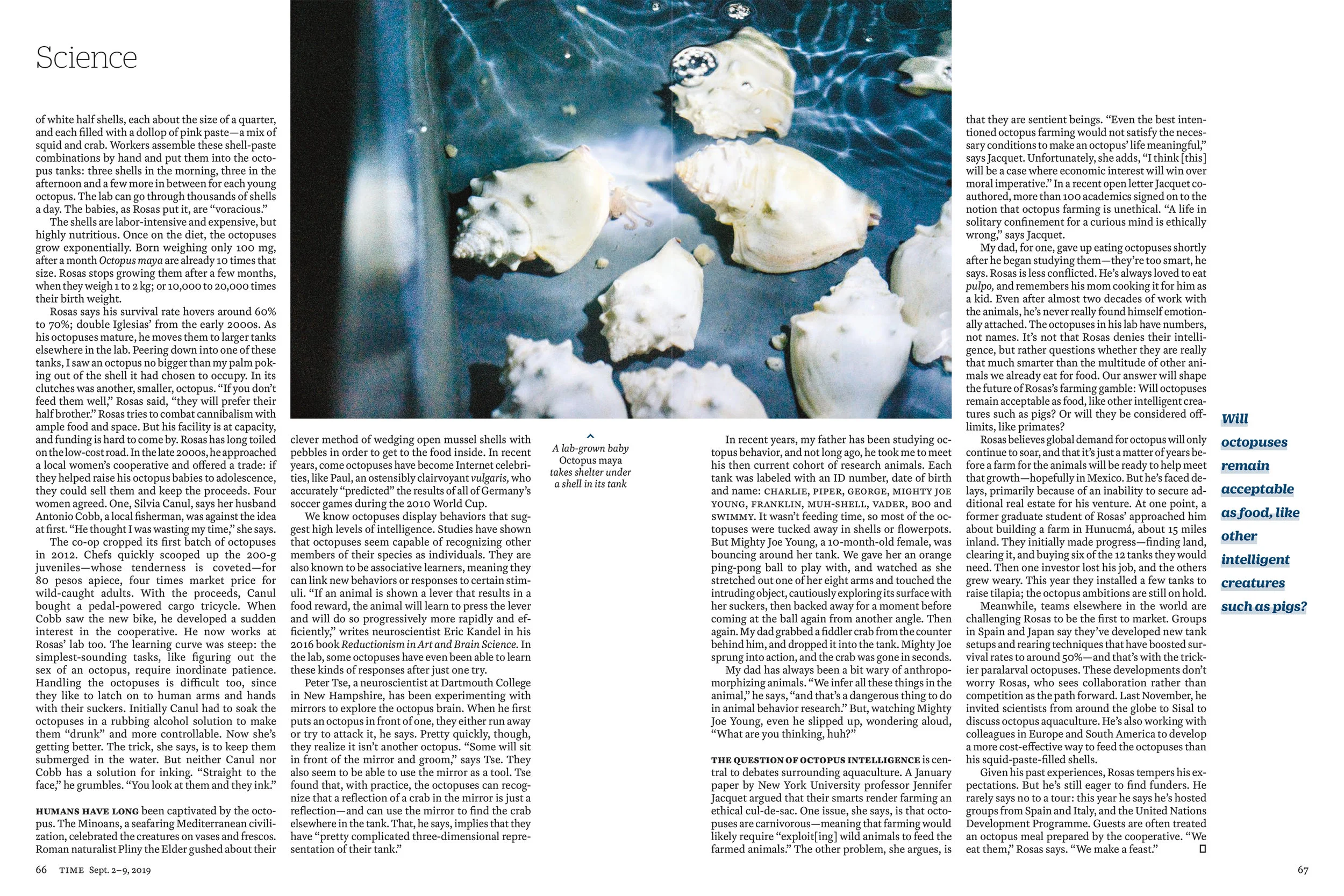 TIME Magazine