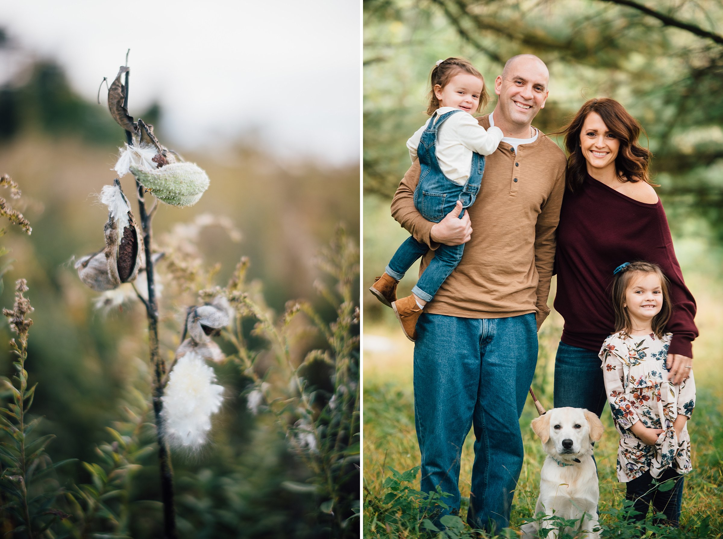 Fern Hollow Nature Reserve Sewickley Family Photography Pittsburgh Rachel Rossetti_0236.jpg