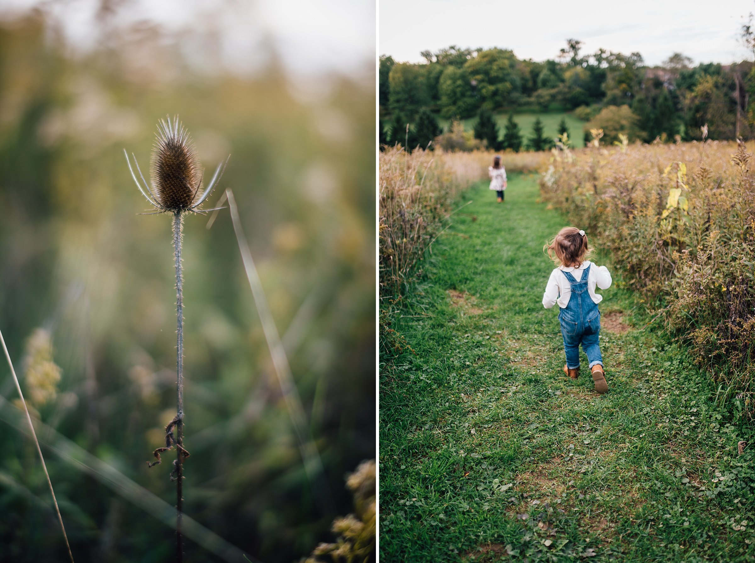 Fern Hollow Nature Reserve Sewickley Family Photography Pittsburgh Rachel Rossetti_0255.jpg