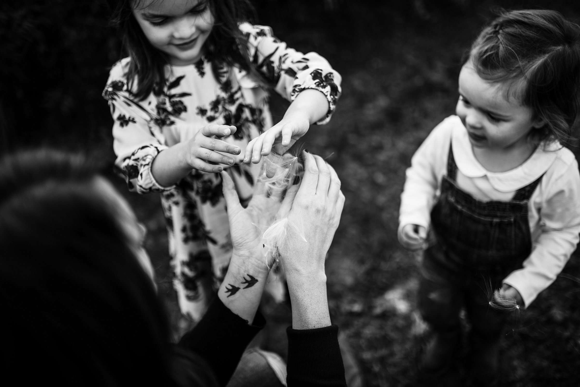 Fern Hollow Nature Reserve Sewickley Family Photography Pittsburgh Rachel Rossetti_0284.jpg