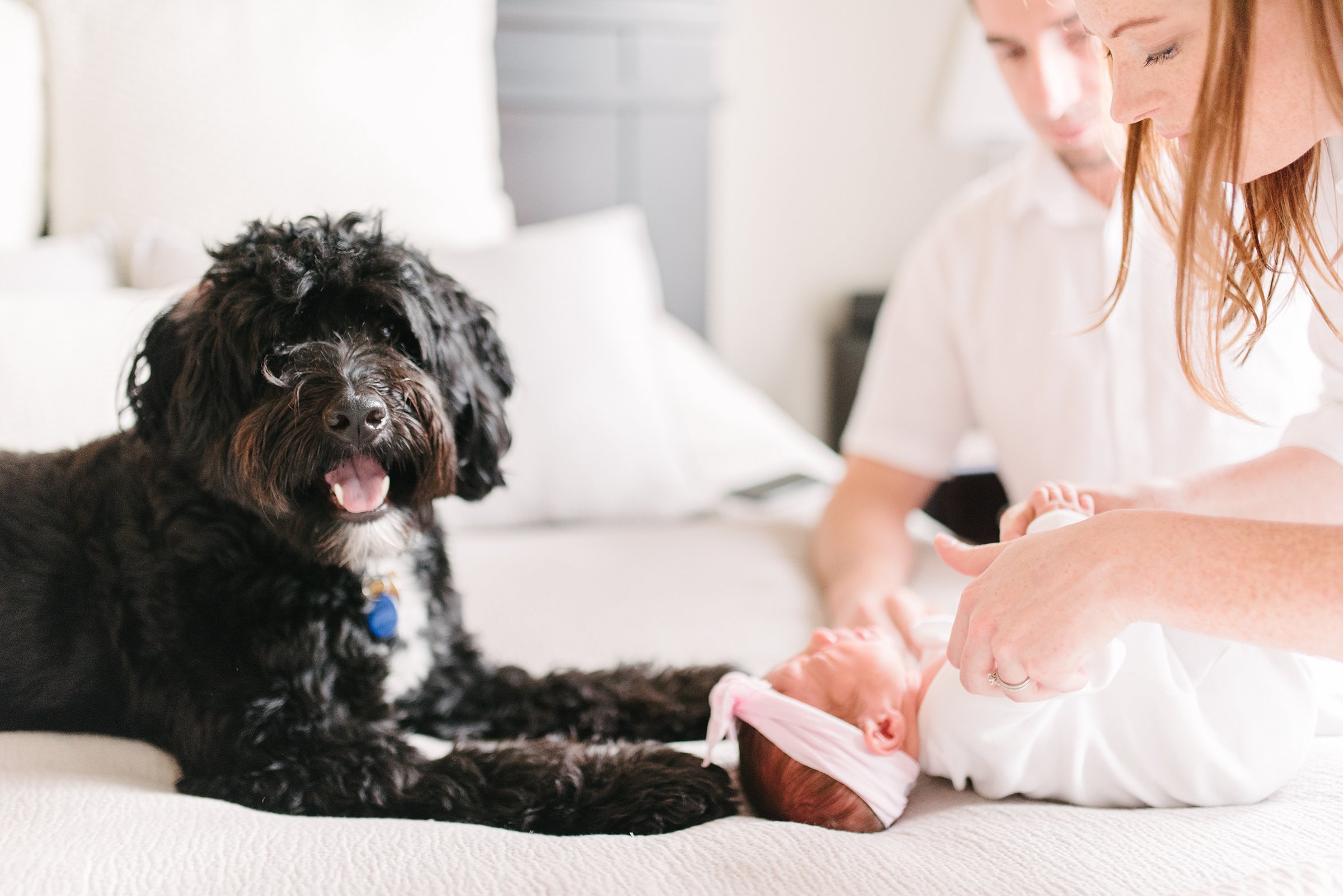 Newborn Lifestyle Photography Pittsburgh Rachel Rossetti_0449.jpg