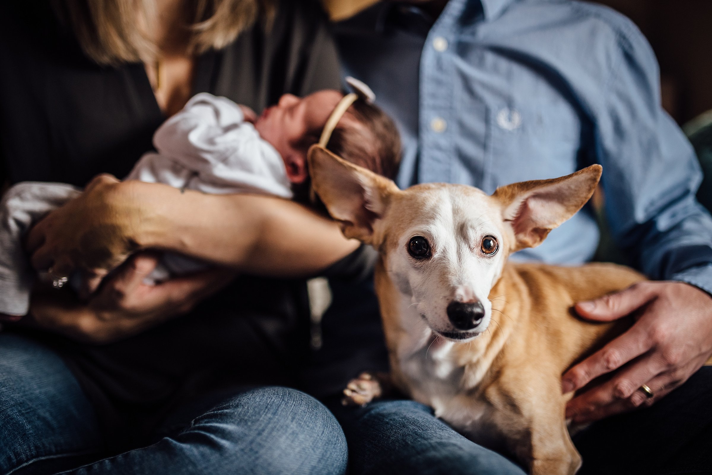 Newborn Lifestyle Photography Pittsburgh Lawrenceville Rachel Rossetti_0468.jpg