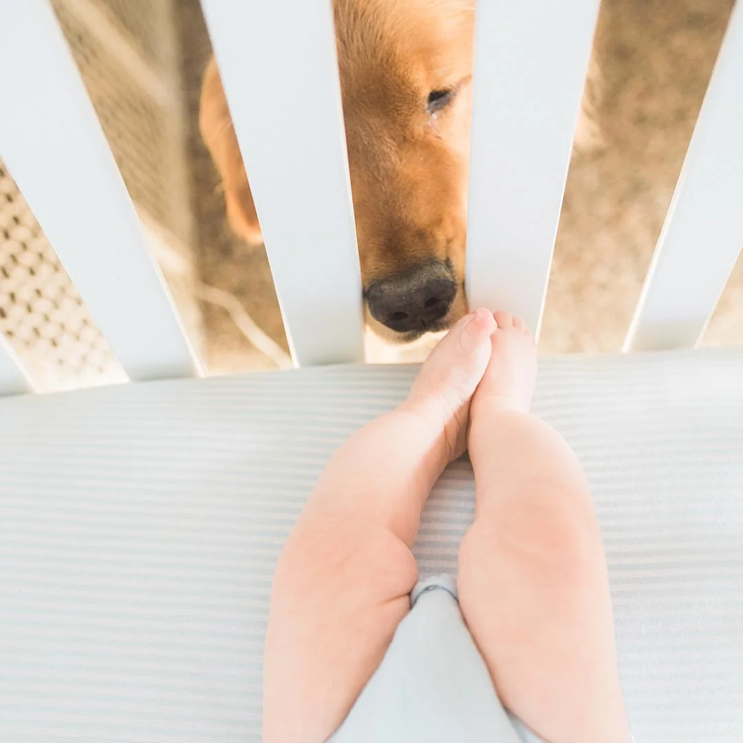 Lifestyle Family Photography Pittsburgh Rachel Rossetti_0623.jpg