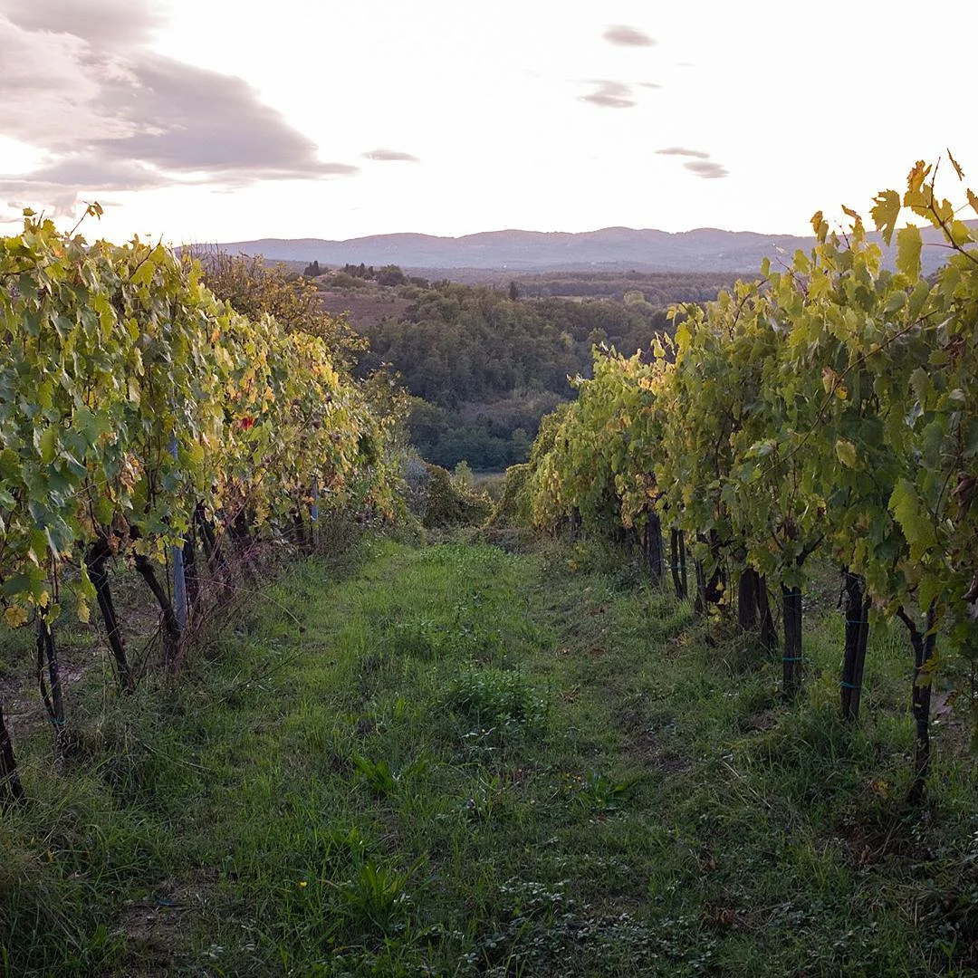 Lifestyle Family Photography Pittsburgh Rachel Rossetti_0617.jpg