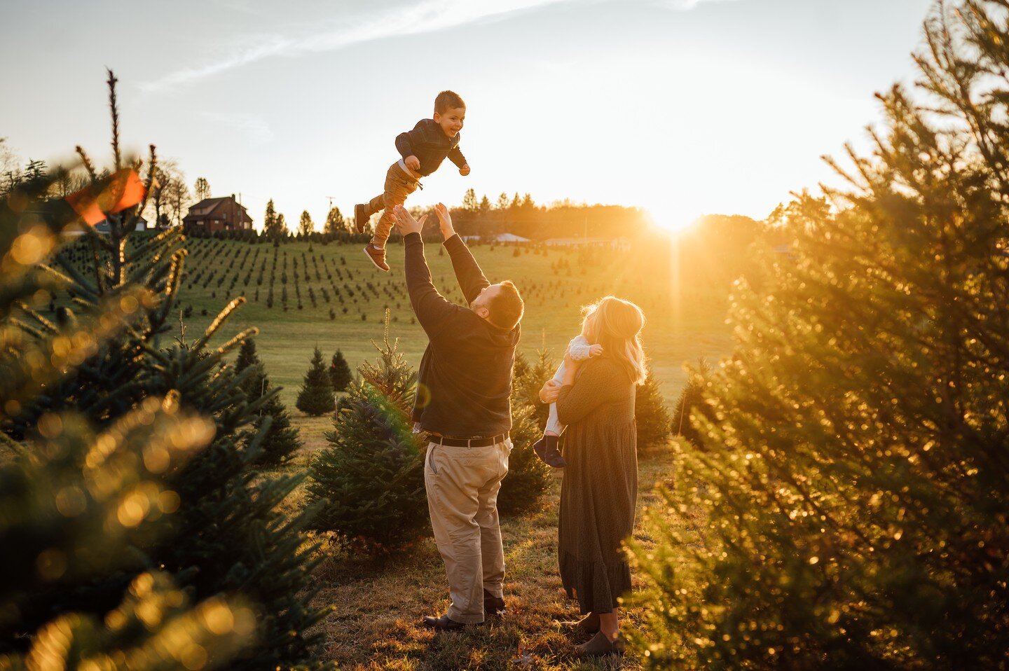 An email went out to my mailing list this afternoon with links to book TWO different mini session dates this Fall -- one of which is at this amazing tree farm again (and I cannot wait to go back!). Half the spots are already claimed 😳 so if you didn