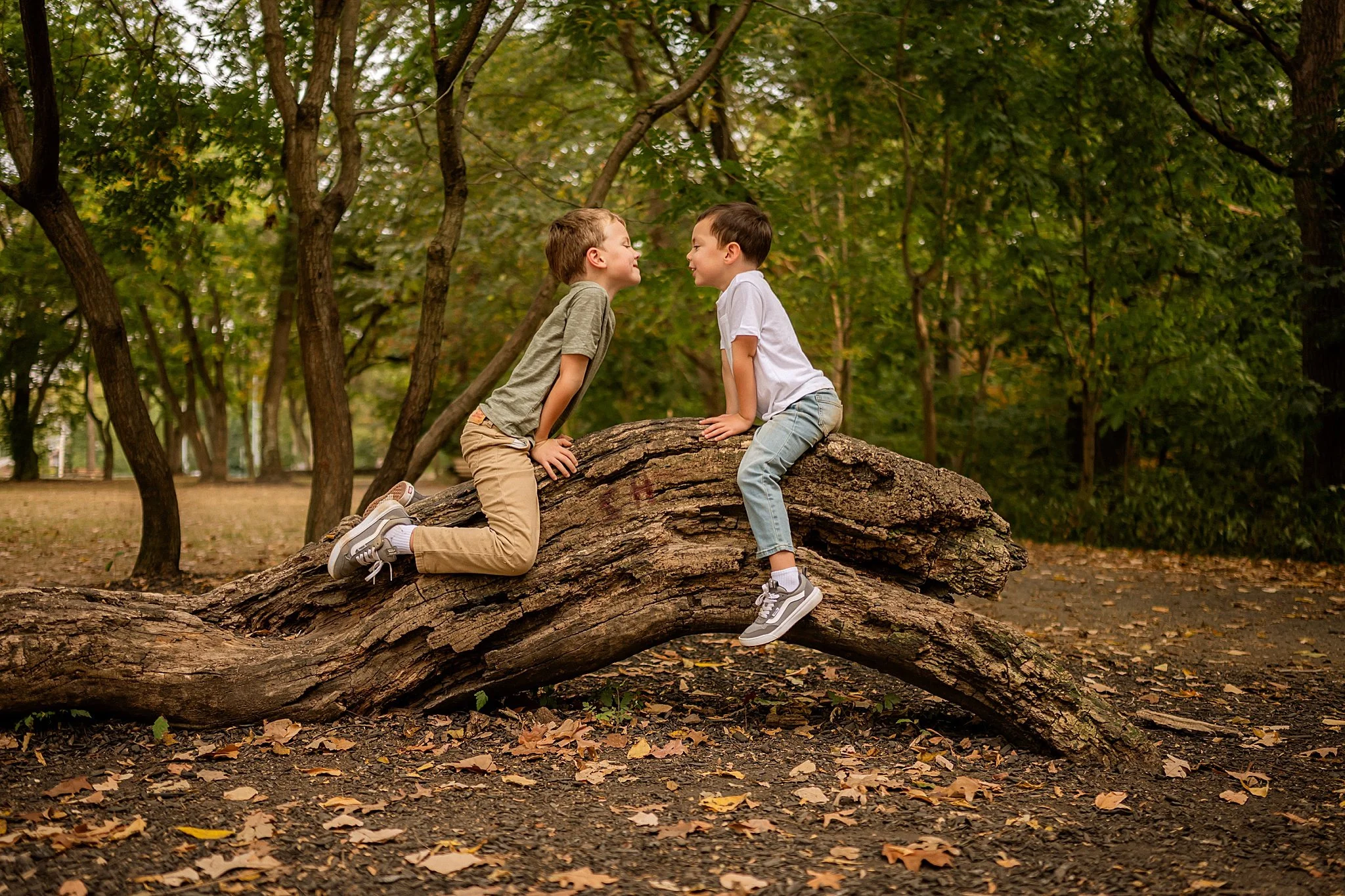 Brothers family photos in Frick Park in Pittsburgh, PA