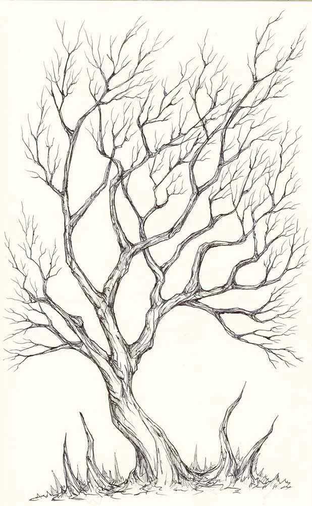 Tree_03212014_14.jpg