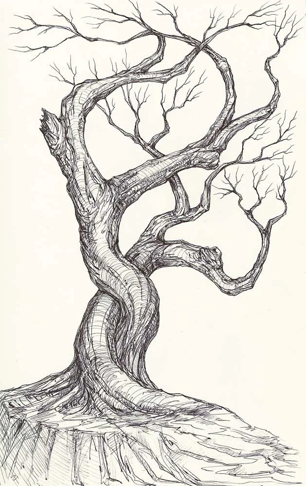Tree_03212014_15.jpg