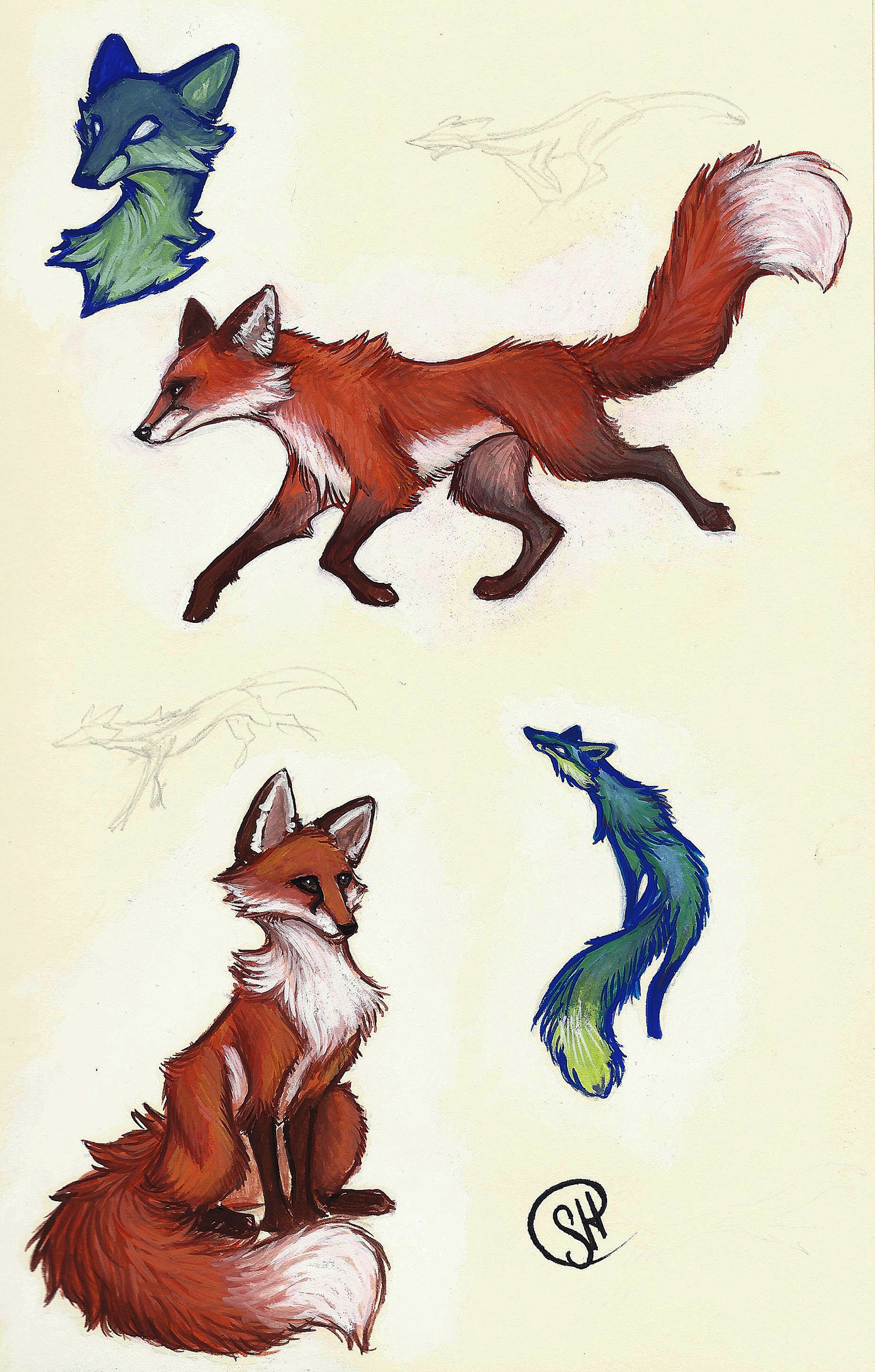 Foxes