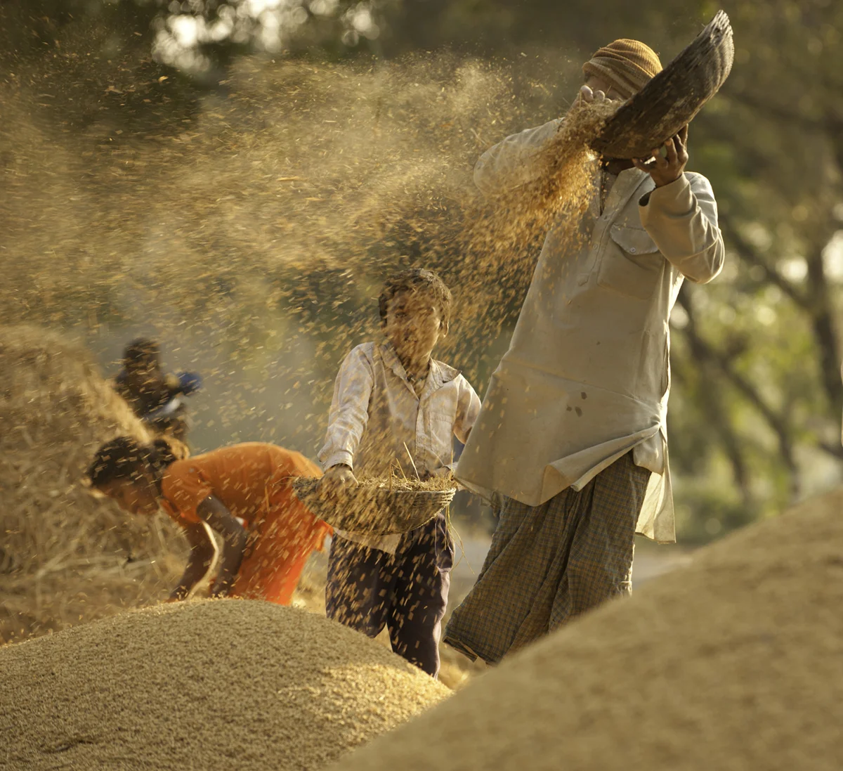 _DSC6794 as Smart Object-1.jpg