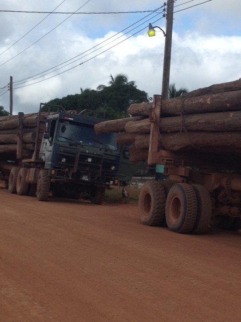 hauling out logs.JPG