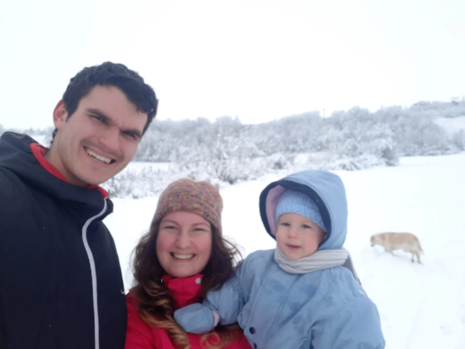 IMG-20190111-WA0005.jpg