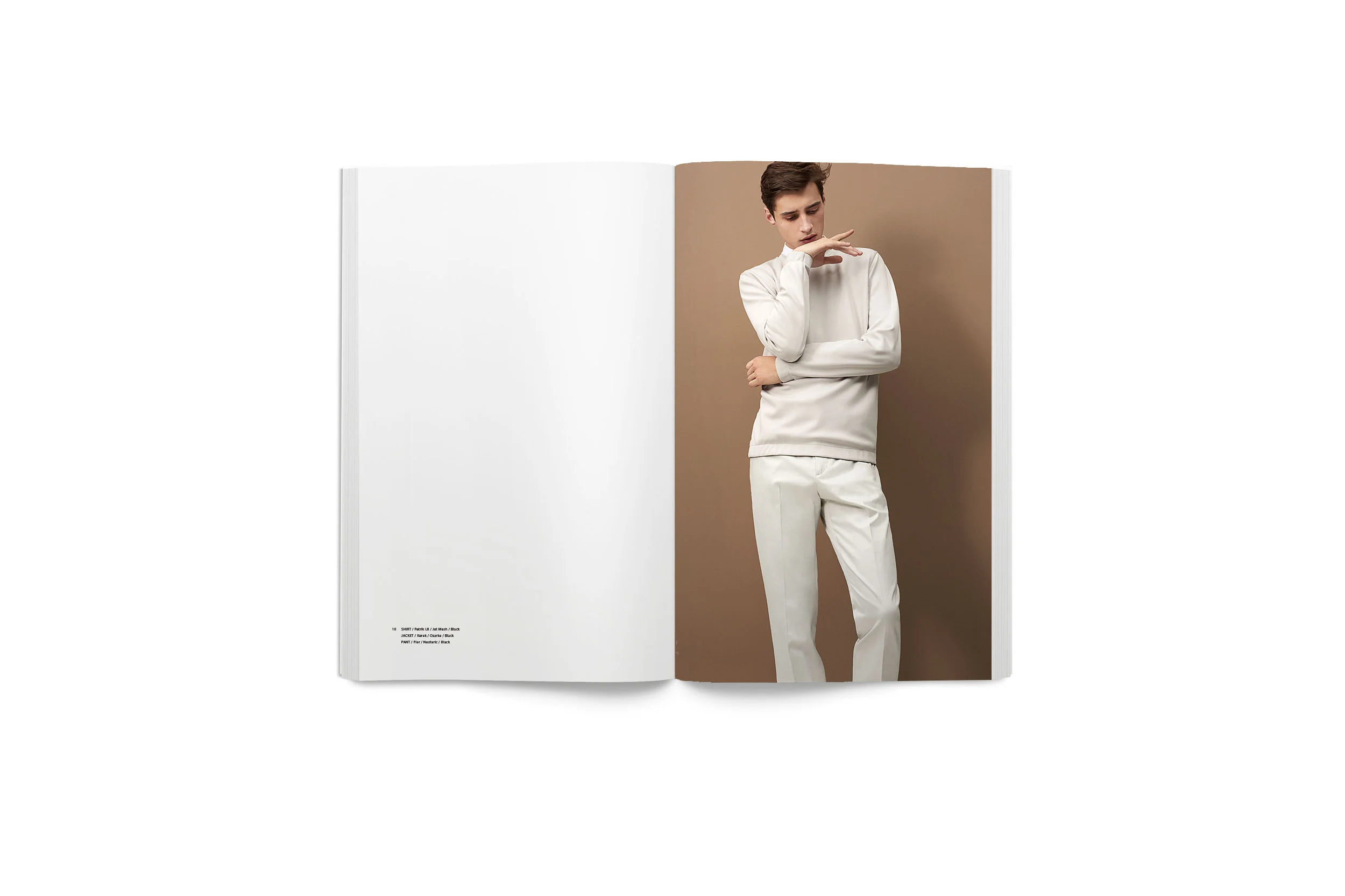 blanklbtheorysprigmen_0009_Layer Comp 10.jpg