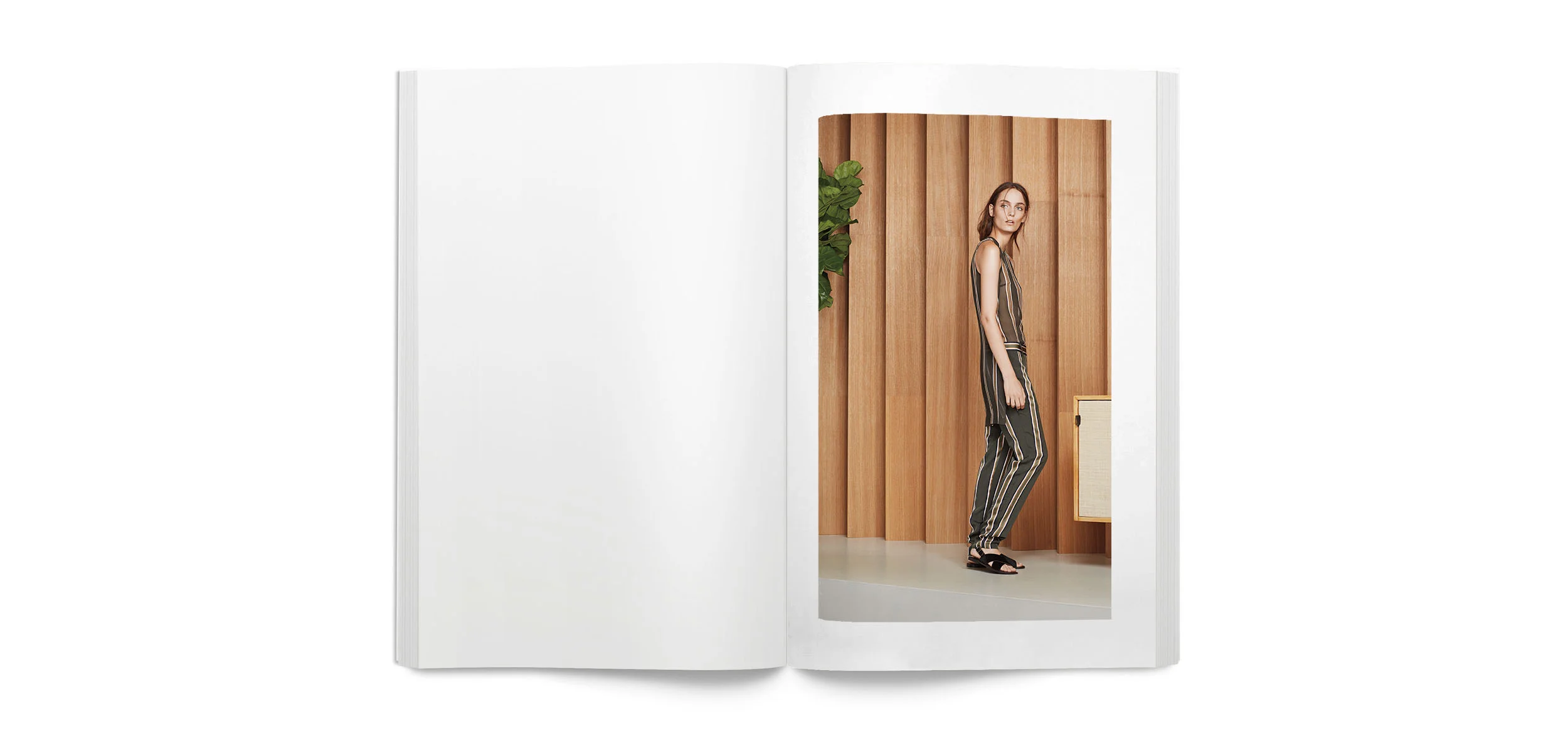 blanklbtheorysprig_0005_Layer Comp 21.jpg