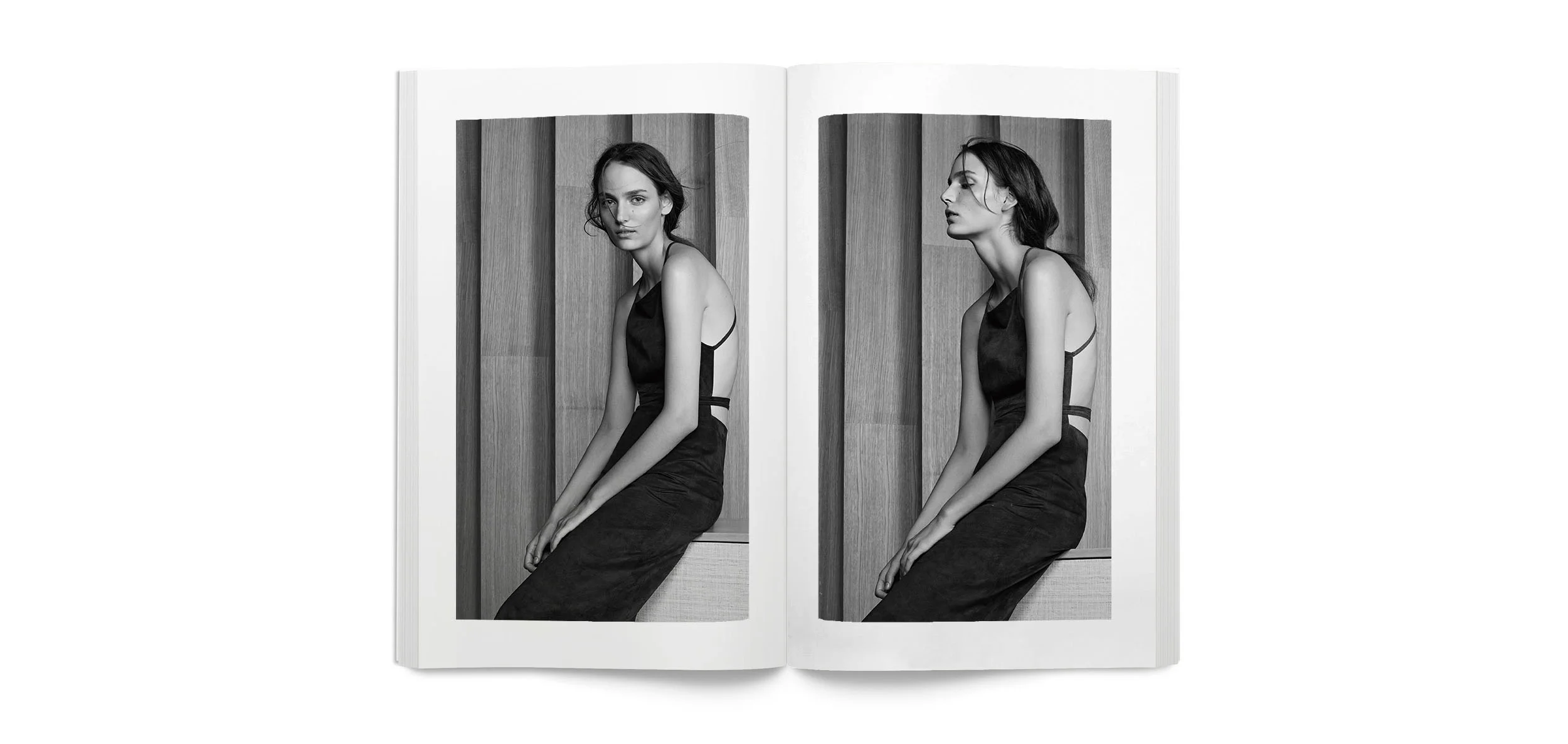 blanklbtheorysprig_0016_Layer Comp 2.jpg