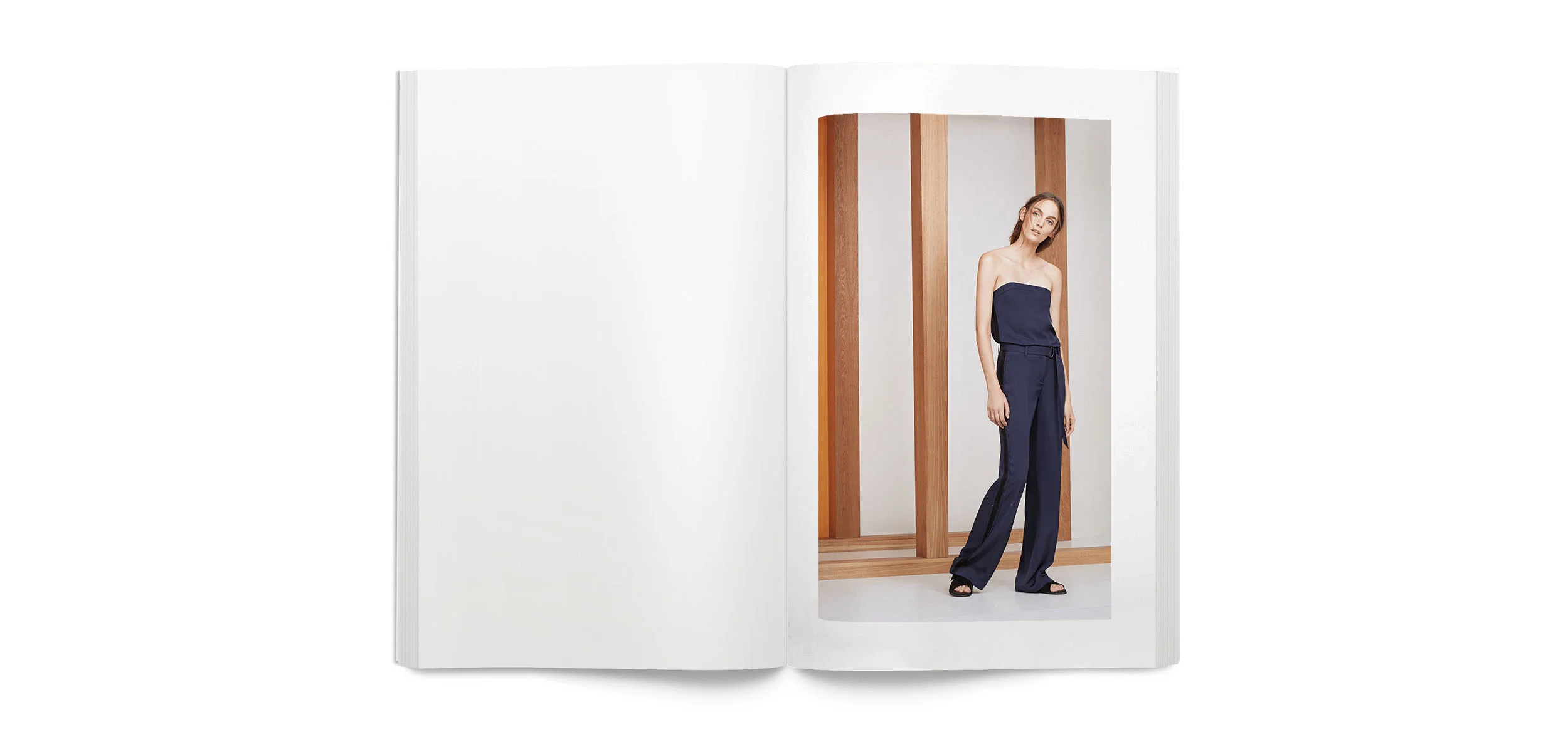 blanklbtheorysprig_0018_Layer Comp 15.jpg