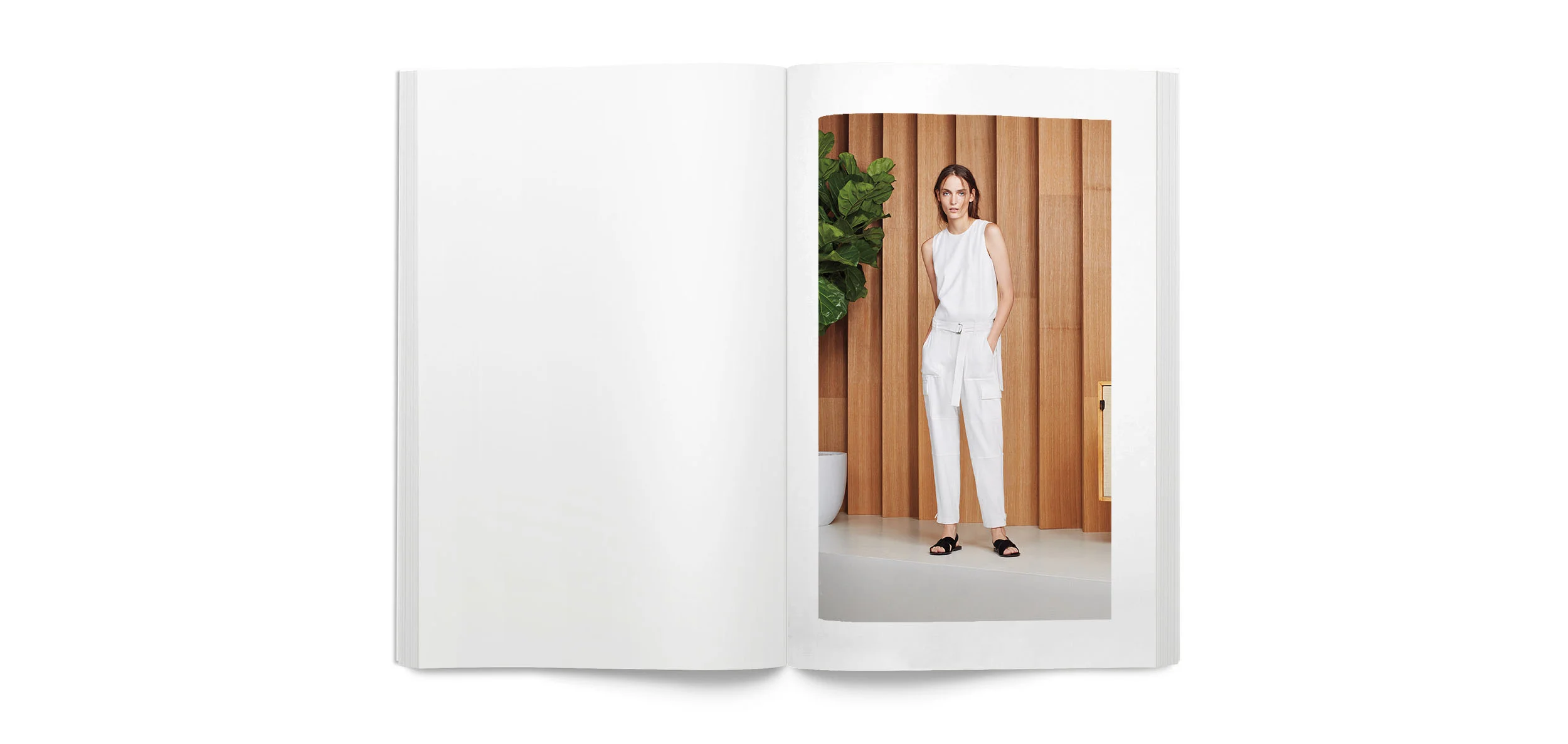 blanklbtheorysprig_0023_Layer Comp 22.jpg