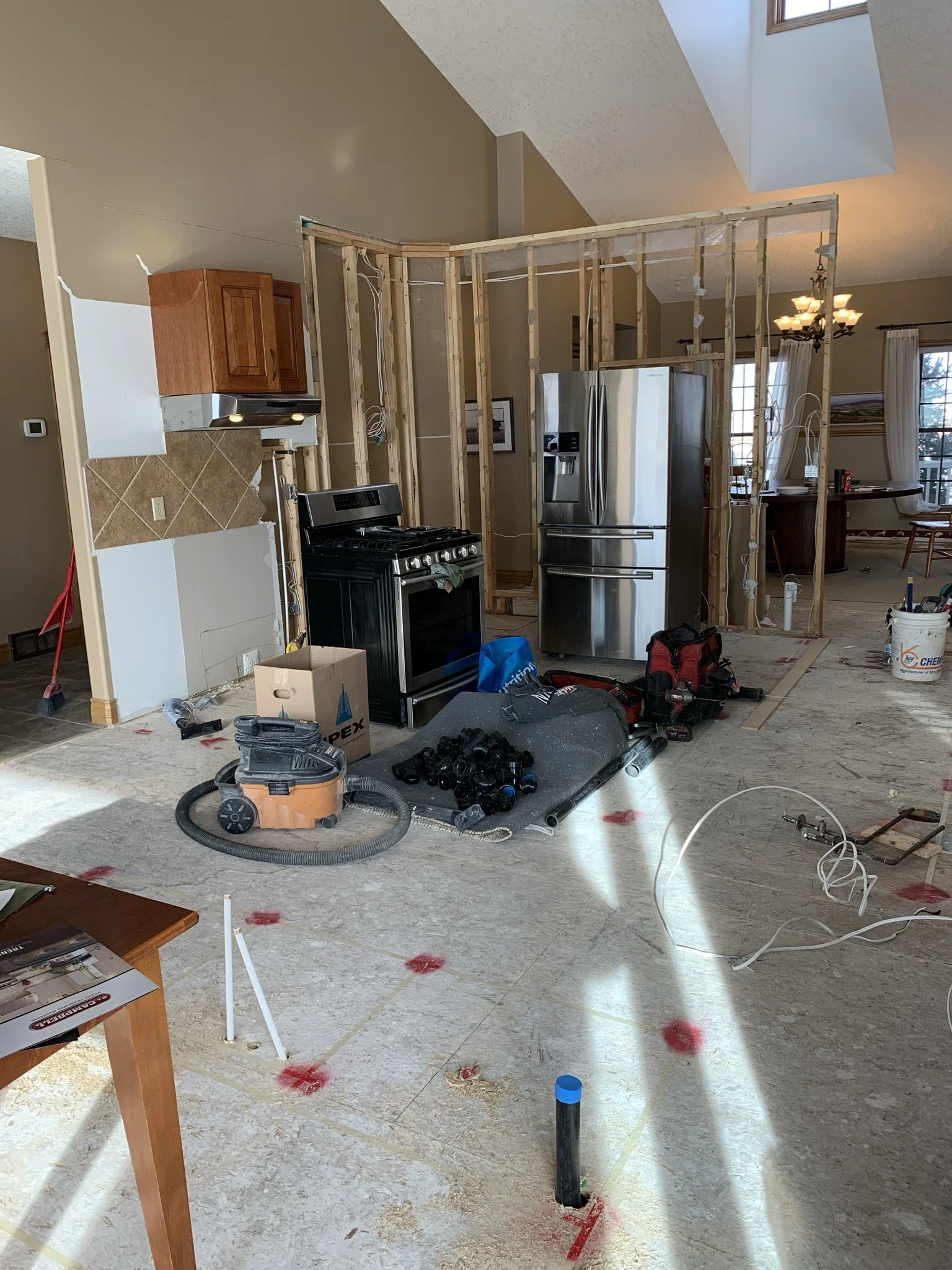 IMG_6786 - Copy.JPEG