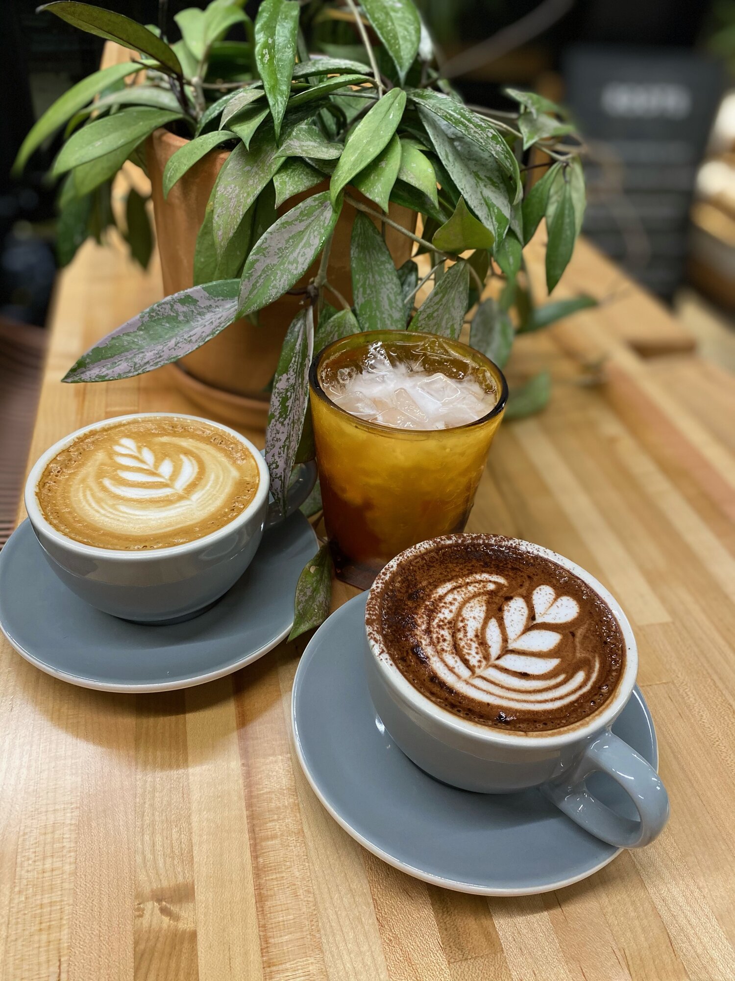 Blog Roots Coffeehouse