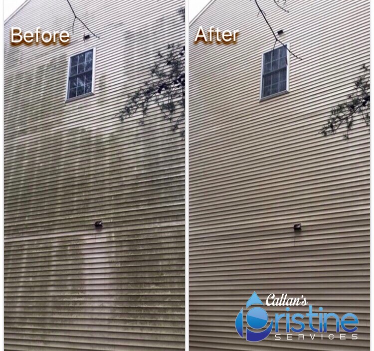 Mold removal with soft wash technique