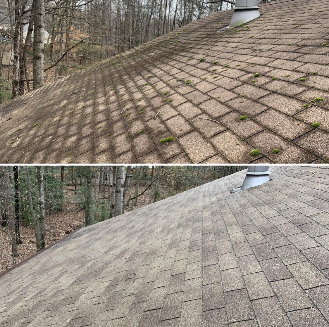 Soft Wash Roof Cleaning By Callan's Pristine Services. Northern Va's  Pristine Power Washing Company — Callan's Pristine Services, Fairfax,  Manassas Area Power Washing & Roof Cleaning