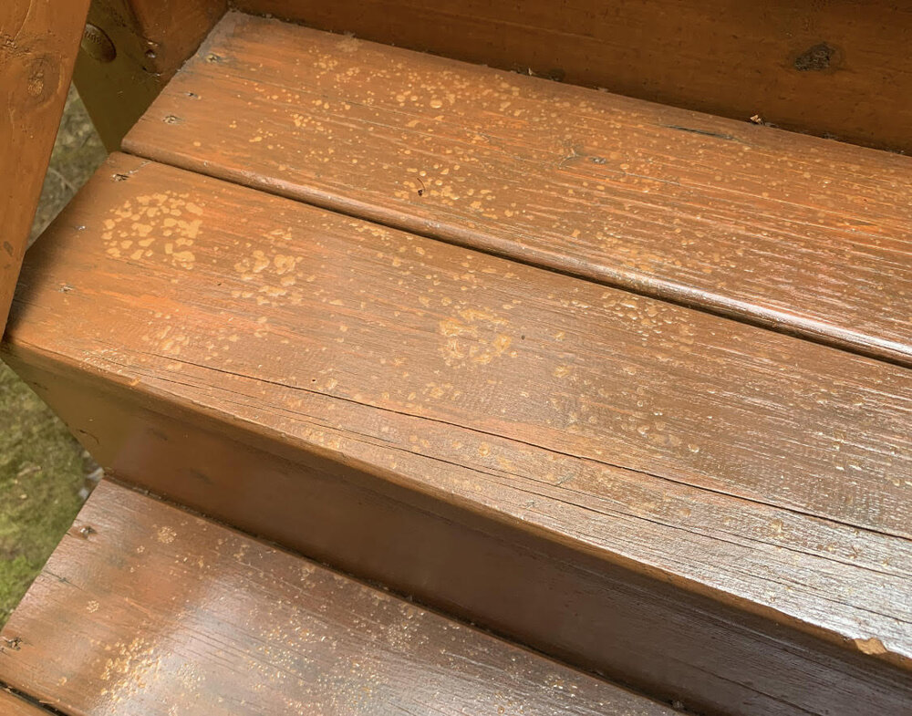 Passing shower after stain application