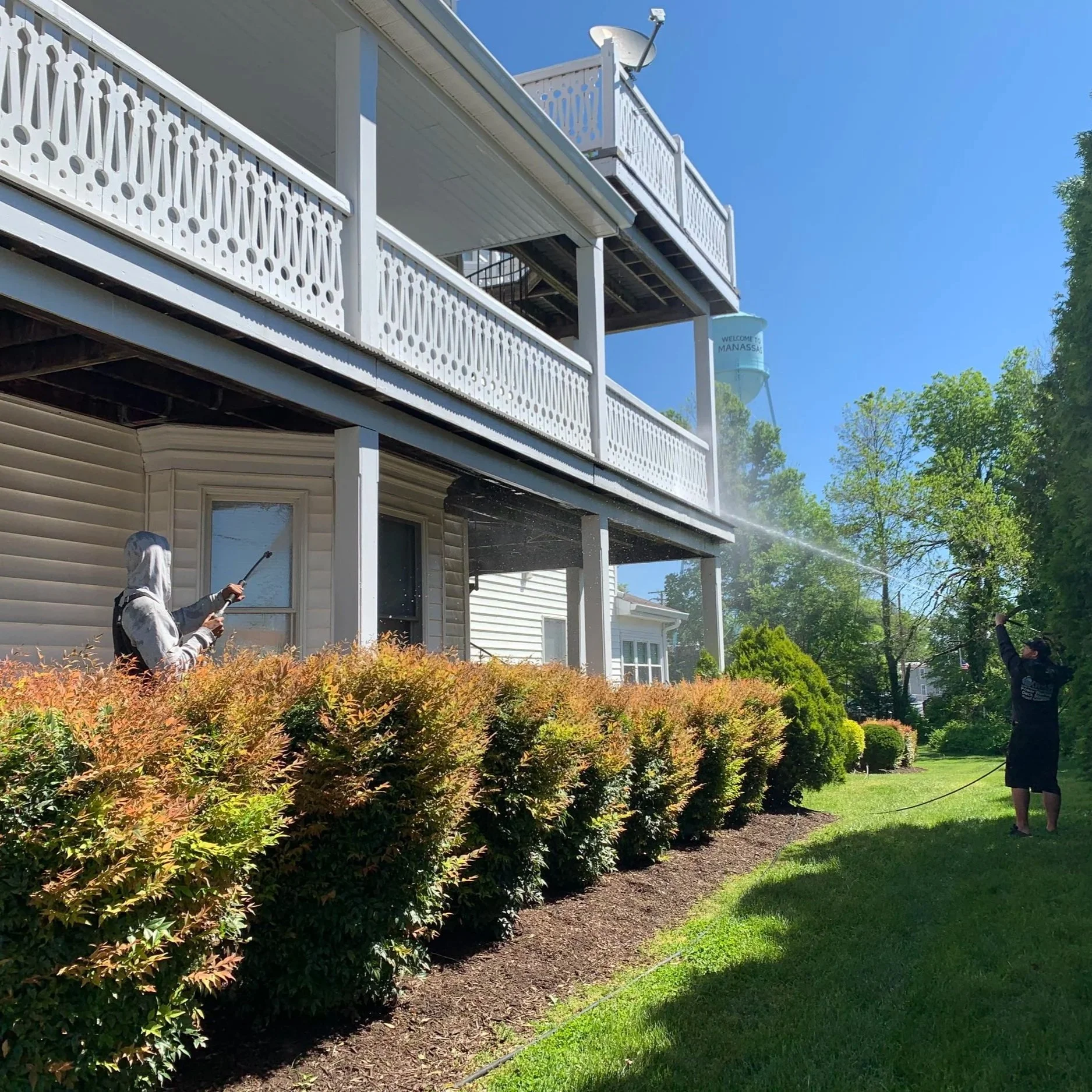 Soft Washing &amp; Plant Safety