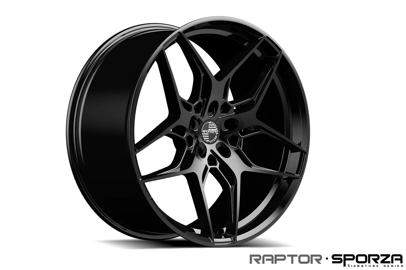 RAPTOR CONCAVE GLOSS BLACK