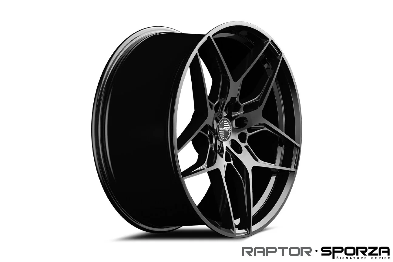 RAPTOR CONCAVE GLOSS BLACK
