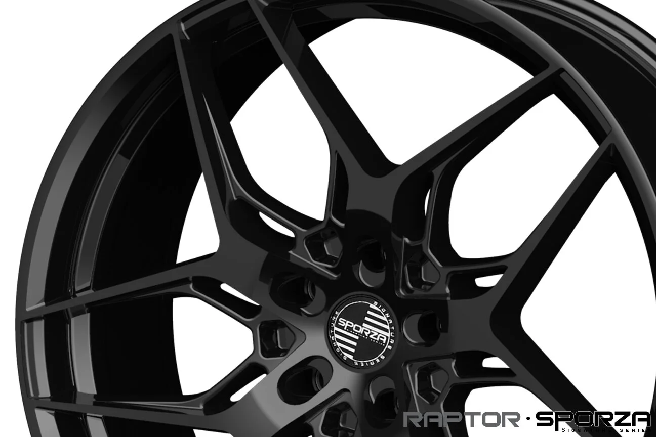 RAPTOR CONCAVE GLOSS BLACK