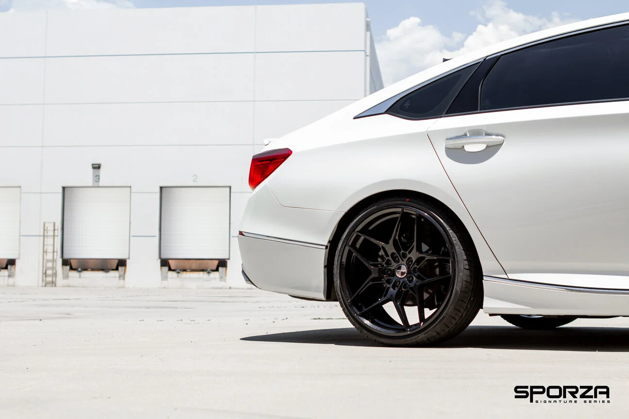 RAPTOR CONCAVE GLOSS BLACK