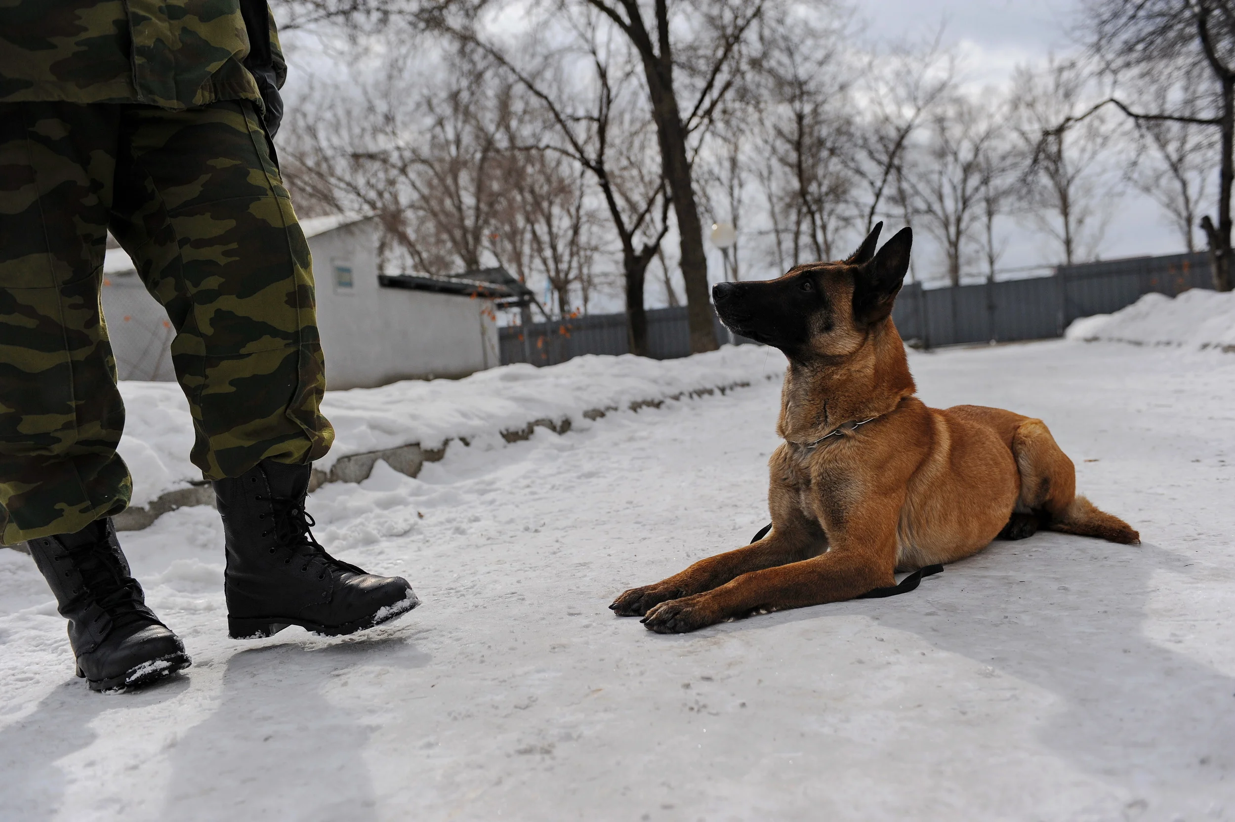 Are habits stopping you from reaching your true potential?  3 Ways Habits Can Help Your Chances of Success