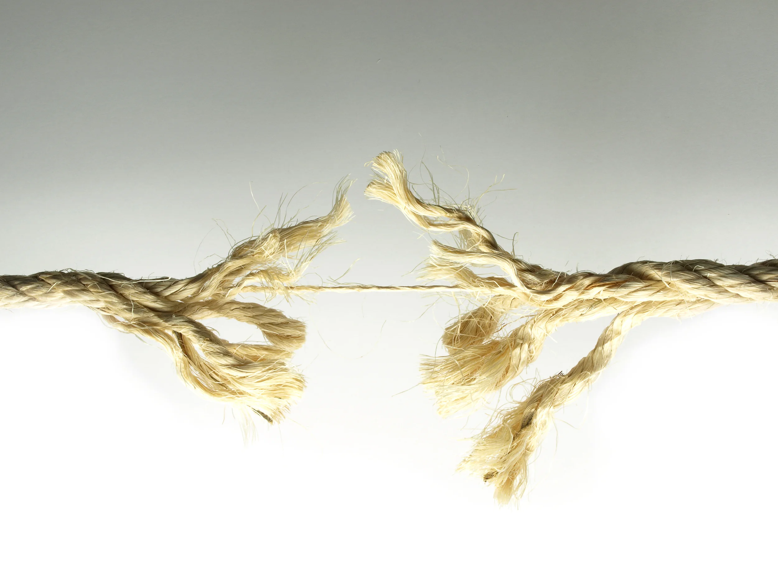 Adversity Breeds Resilience