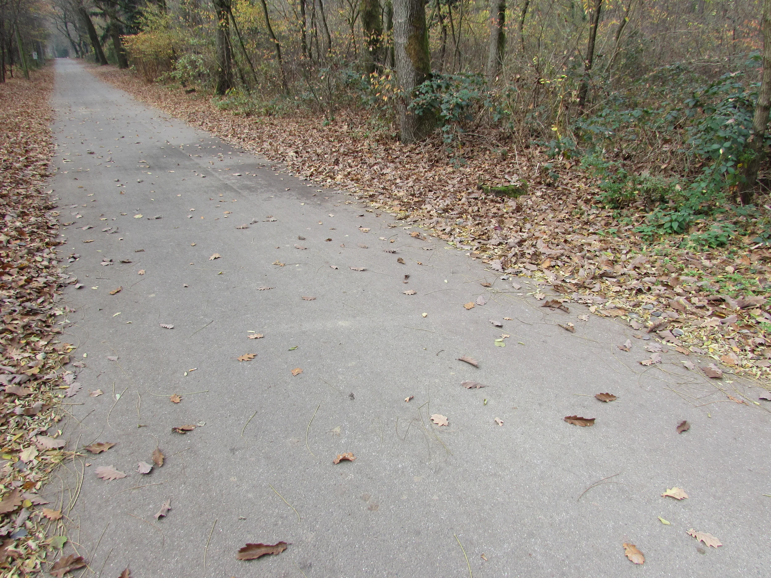 Stay focused on progress when you find yourself on a steep hill