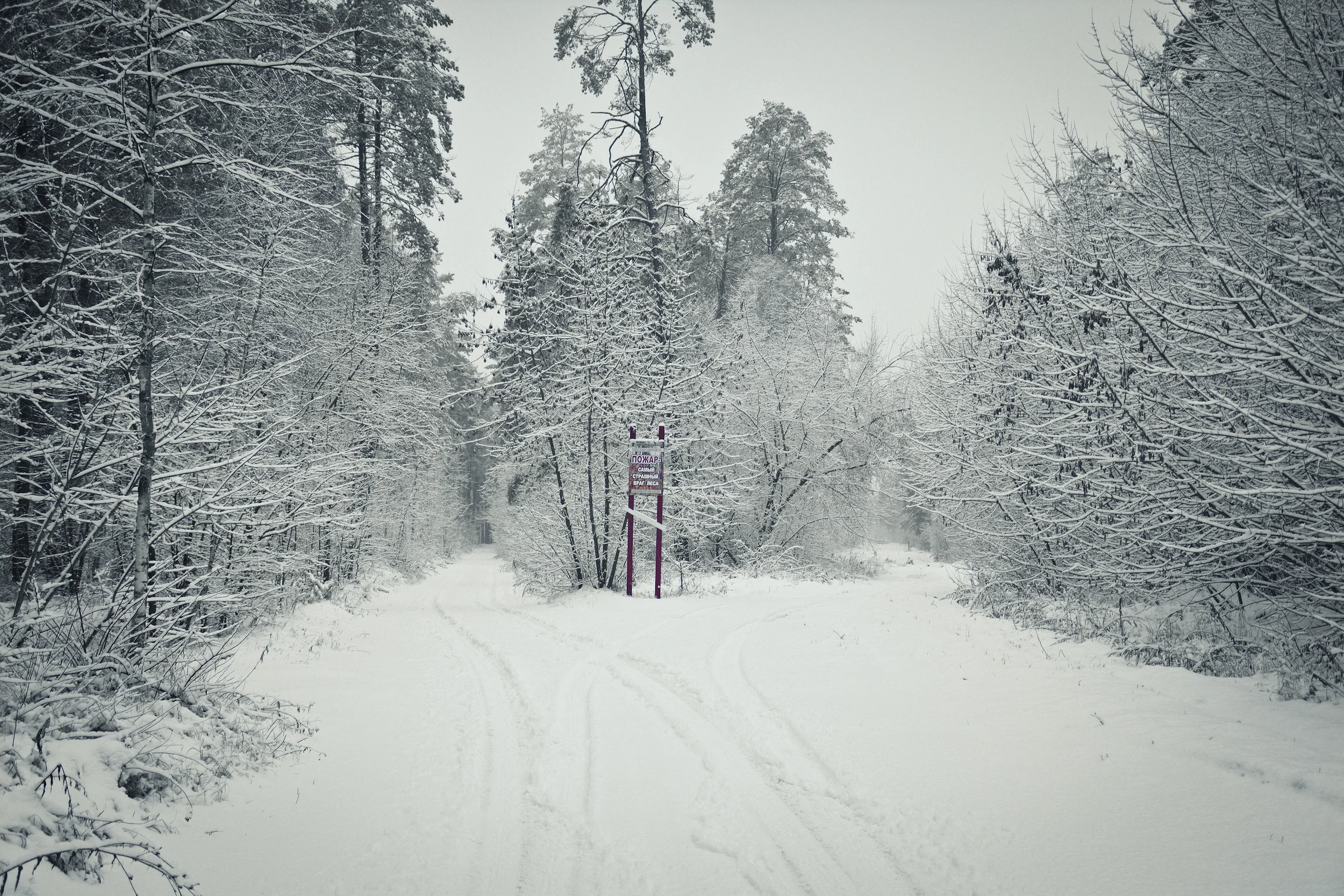 We always have options