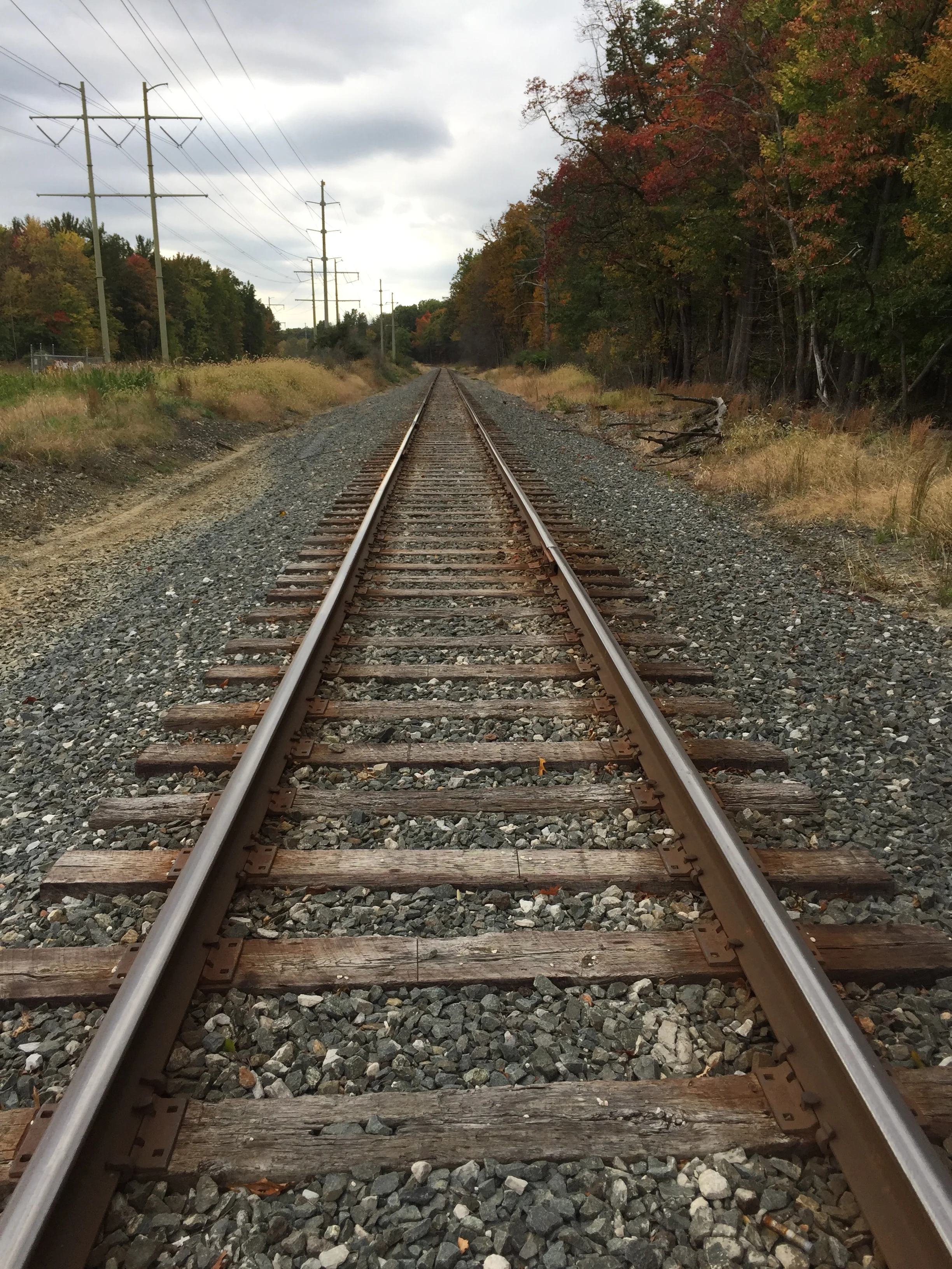 Getting back on track