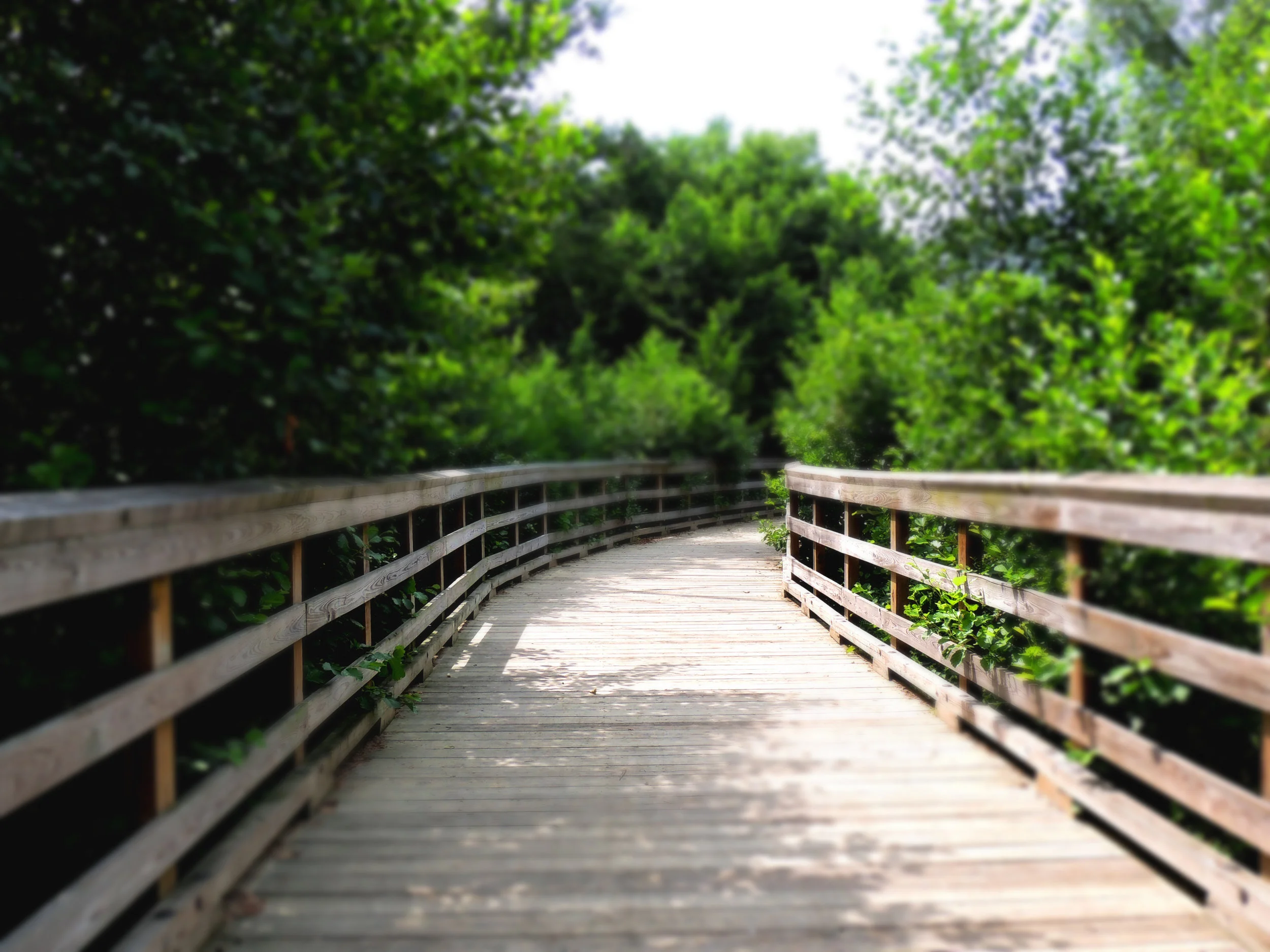 Close the gap between the life you have and the life you hoped to have