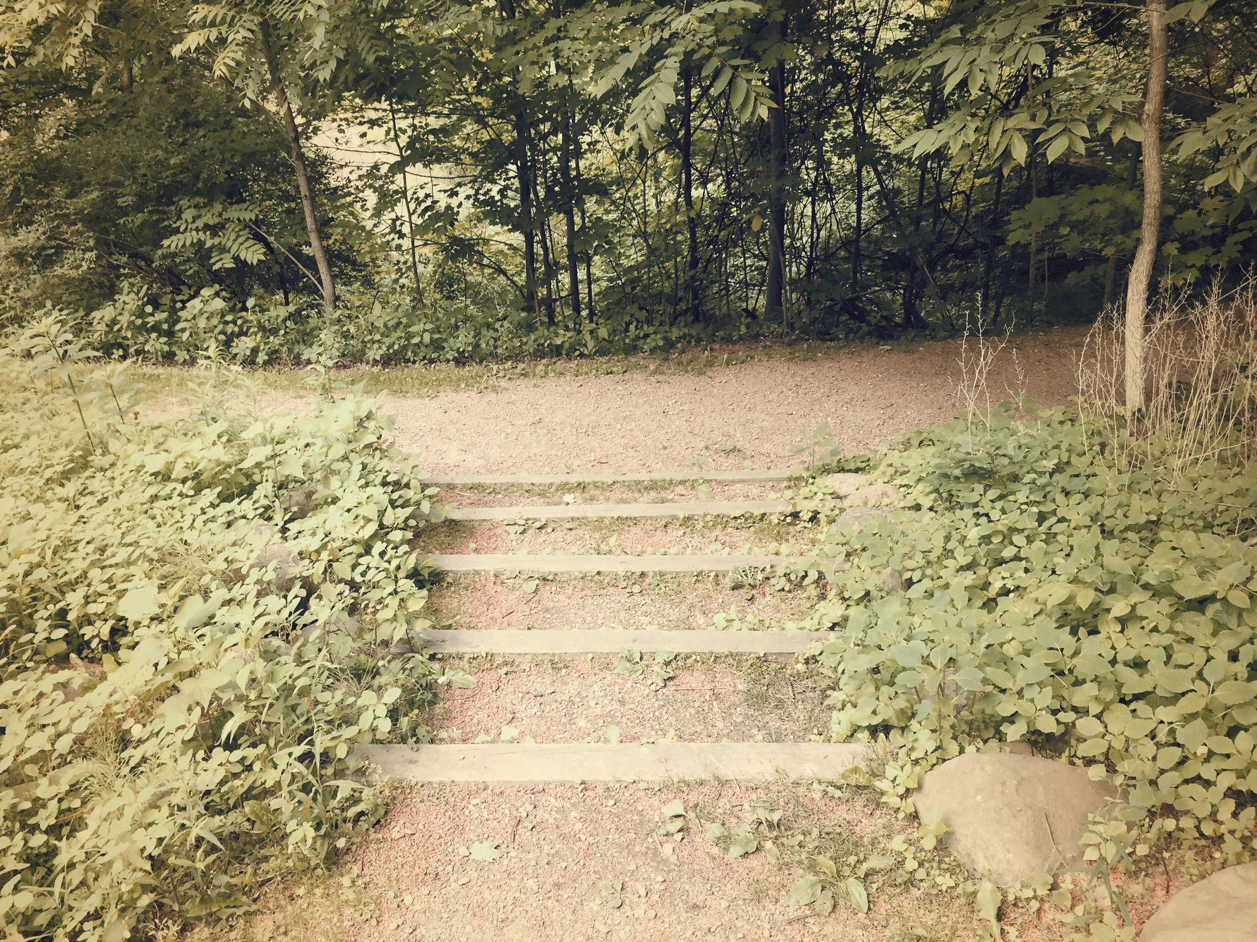 What path are you on?