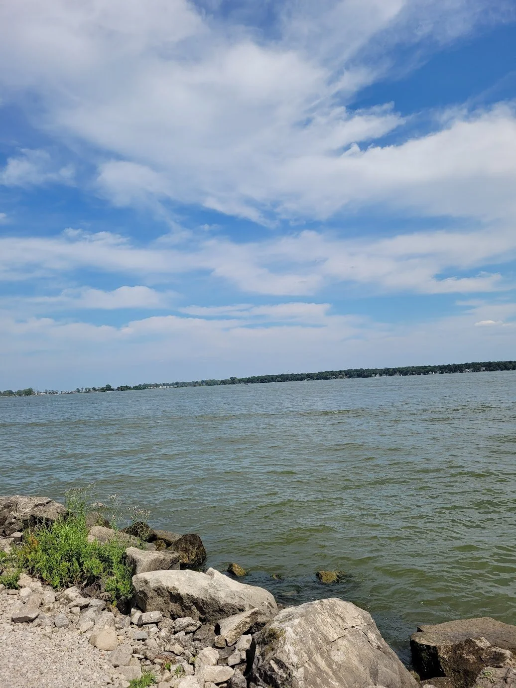 Progress Through Hope