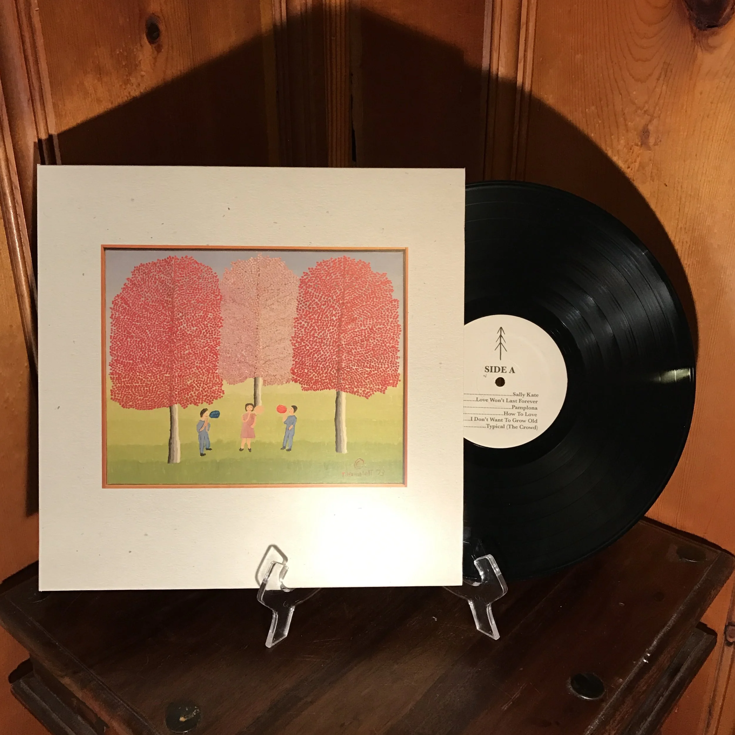 STSWC-Vinyl.jpg