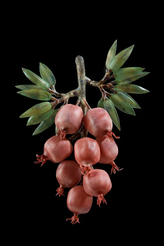 Pomegranate Cluster