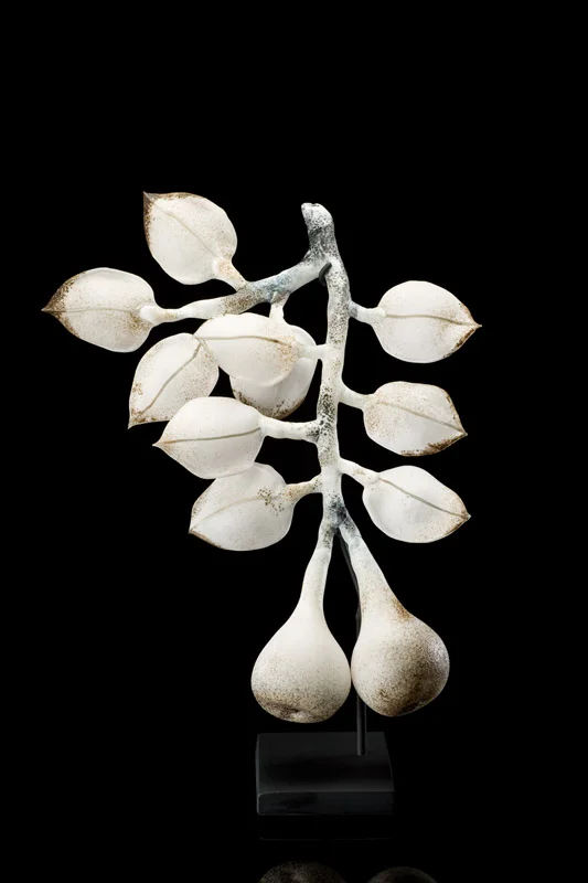Bosc Pears in White.jpg